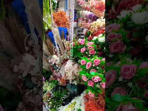 فيديو: المنطقة 8 شجيرات الورد: اختيار الورود لحدائق المنطقة 8