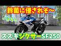 【スズキ ジクサー SF250】鈴菌に侵されそ~!
