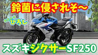 【スズキ ジクサー SF250】鈴菌に侵されそ～！