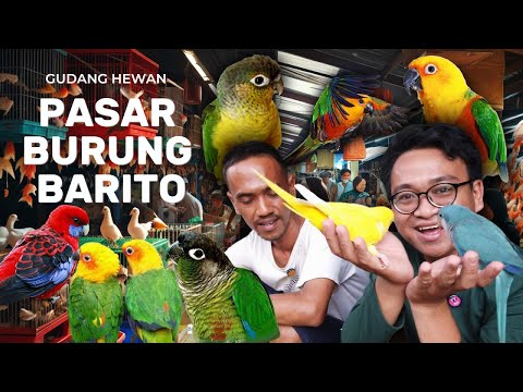 BORONG BURUNG DI PASAR HEWAN JAKARTA SELATAN ⁉️ GOKIL LENGKAP BANGET