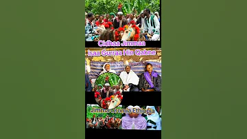 Sirnaa Addaa Fudhaaf Heerumaa Lixaa Oromiyaa Nannoo Jimmaa Ta Ee Isaa Gurraa Hin Qanbeedha Jimma Or 