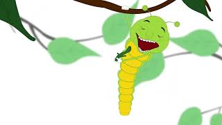 From Caterpillar to Butterfly   #aumsum #kids #science #education #whatif