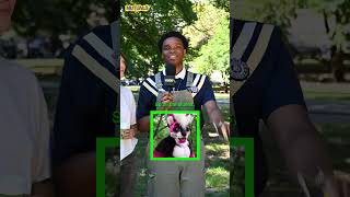 Elige Antes De Revelar