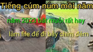 hoành Lê Tiếng cúm núm mồi 2 để đi bẫy chim đêm