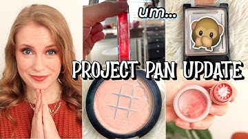 PROJECT PAN UPDATE: I did NOT see this coming 🙊 // November 2021 Update (Rolling Project 10 Pan)