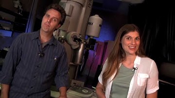 The Qubit Lab - Quantum Correlations