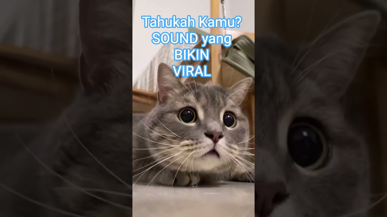 💃🔥Tahukah Kamu, Sound yang bikin Viral?🎧⚡ #tahukahkamu #faktaunik #soundviral — Triviaman YouTube video