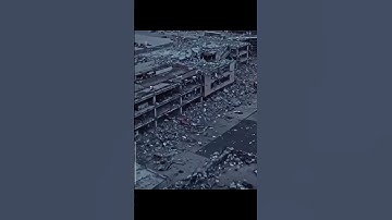 مقایسه انسان ها نظر به نص حکم قرآن بدانید. تلاوت زیبا/سوره الحشر/ 20 فرید احمد "فهیم"#الباسط #birds