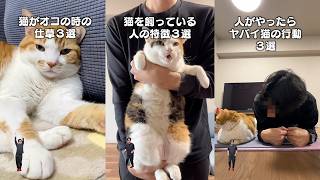 猫飼ってる人にしかワカラナイ６連発