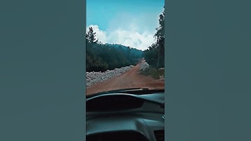 ولسوف يعطيك ربك فترضى ماهر المعيقلي. القران الكريم #اكتب_شي_تؤجر_عليه