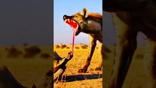 The Future of Wildlife: AI Animals#animals #wildlifeentertainment #wildlife #viralvideo