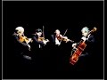 Capture de la vidéo The Alban Berg Quartet - Documentary (English Subtitles)