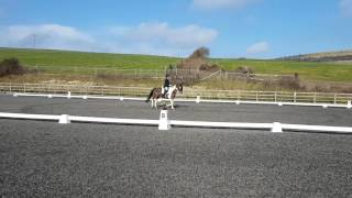 Graeme Prelim 2 20170218