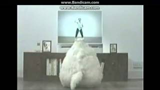 Morbidly obese cat dancing