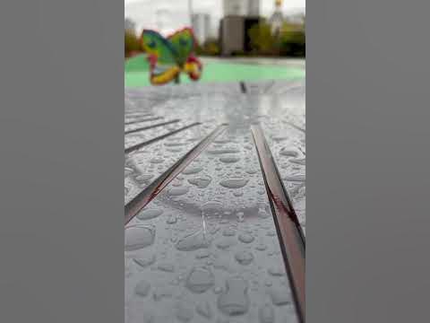 Золотоя осень 🍂🍁 - YouTube
