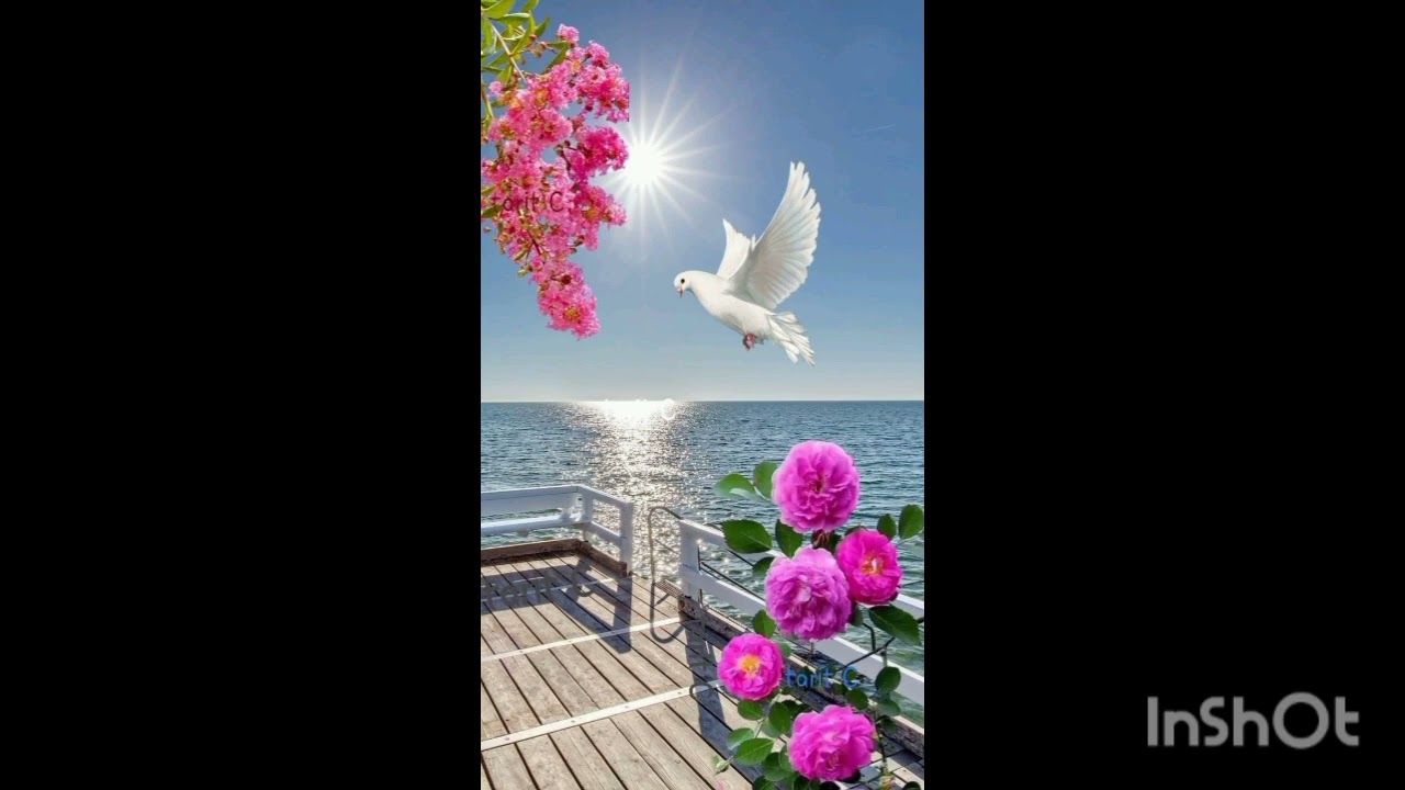 علاج الوسواس القهري يبدأ بالتقبل وينتهي بالتجاهل التام 