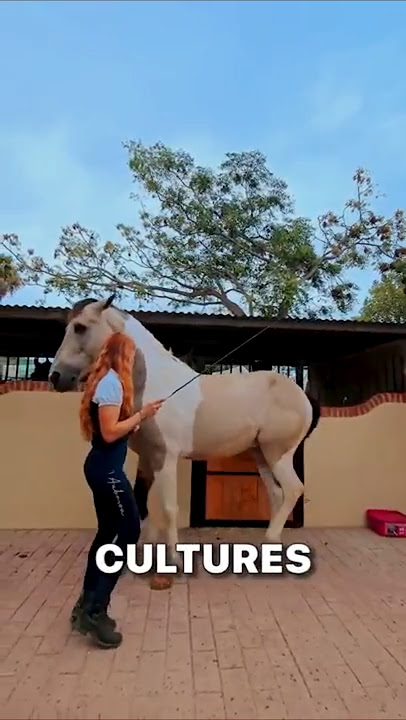 Penjelasan tentang Dancing Horse