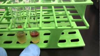 BIO 2192 UNIT 9 - Carbohydrate Fermentation -  Methyl Red / Vogues Proskauer (MR-VP) broth