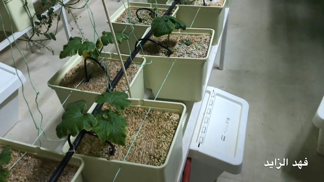 طريقة تركيب نظام الدشت بكت بالزراعة المائية