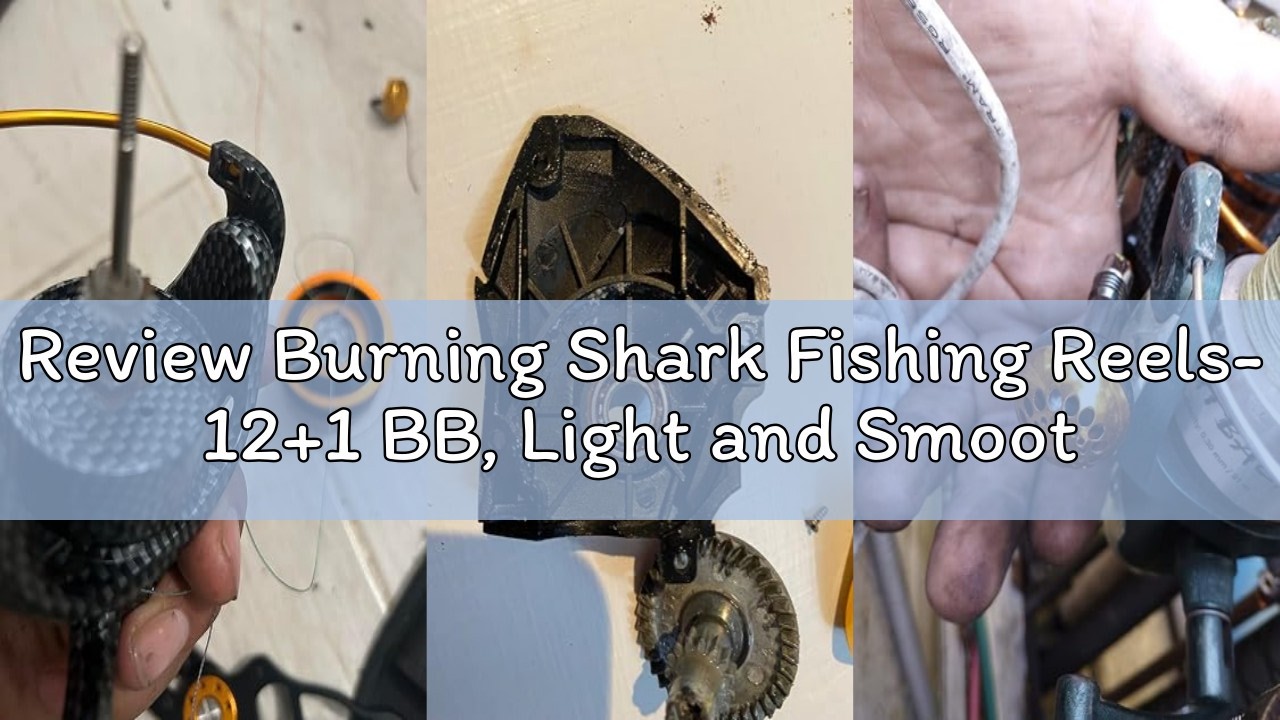 compare burning shark fishing reels Trolling Reel Saltwater Level Wind Reels, Drag Boat Ocean Fishing for Sea Bass Grouper Salmon-SHA40 : Sports & Outdoors Burning Shark Cheap Trolling Reels