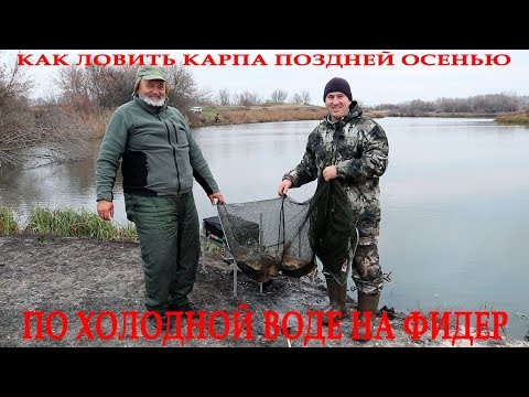 Как ловить карпа поздней осенью по холодной воде на фидер в ноябре! Советы