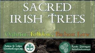 Sacred Irish Trees: Ogham, Folklore, Brehon Law.