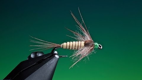 Tying a large Mayfly nymph with Barry Ord Clarke