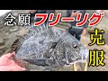 【晩夏の河口】チニング初心者の私に釣らせてください！【フリーリグ】