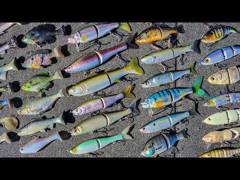 Bass Fishing with Glide Baits - The Master's Course 