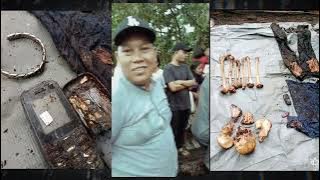DISCOVERY OF HUMAN KERKK4 IN A PALM OIL TREE - Missing for 2 Years Apparently..
