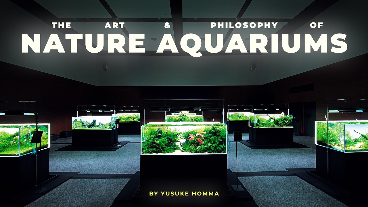The Art and Philosophy of Nature Aquariums | Yusuke Homma FULL SEMINAR