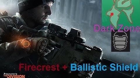 The Division 1.4: Firecrest Ballistic Build