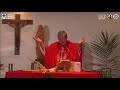 10:15 AM Holy Mass with Fr Jerry Orbos SVD  - March 28 2021 Palm Sunday of the Lord's  Passion