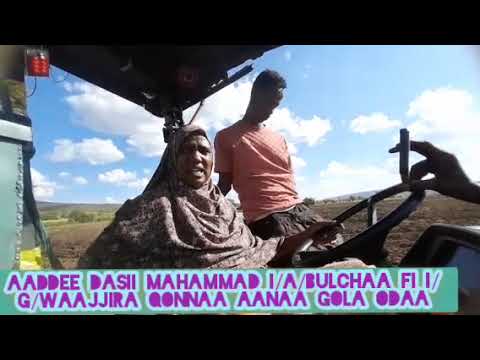 Facaa Qamadii Bonee 2018 Kilaastara Gsnda Bareeda Leencaatti