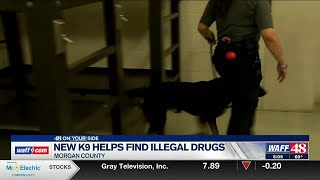 Morgan County K-9 helping detect illegal narcotics in jail