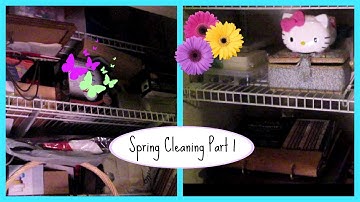 Spring Cleaning Part 1 - Clean and Declutter Small Closet