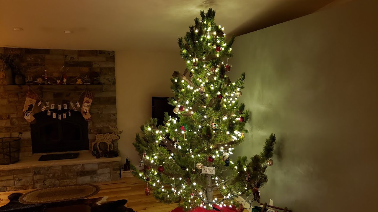 This could be the be the most beautiful Christmas Tree of 2019 YouTube
