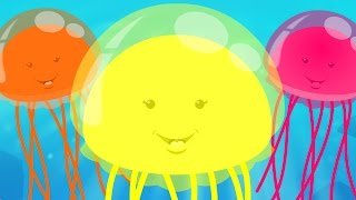 jelly bears | jelly fish finger family | nursery rhymes | kids songs | children rhymes