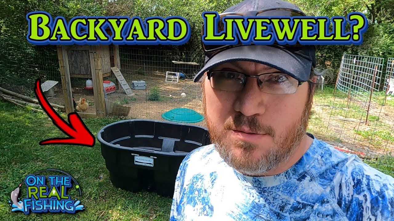 Pond Build Phase 1 Backyard Miniature Stock Tank Fishing Pond YouTube