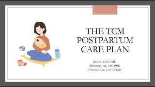 The TCM Postpartum Care Plan screenshot 5