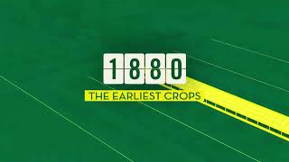 146 years growing with purpose