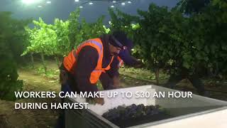 2018 Harvest