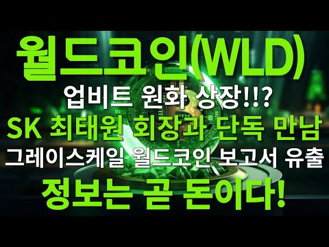 월드코인 긴급속보 SK최태원 회장 단독만남 그레이스케일 보고서 유출 
