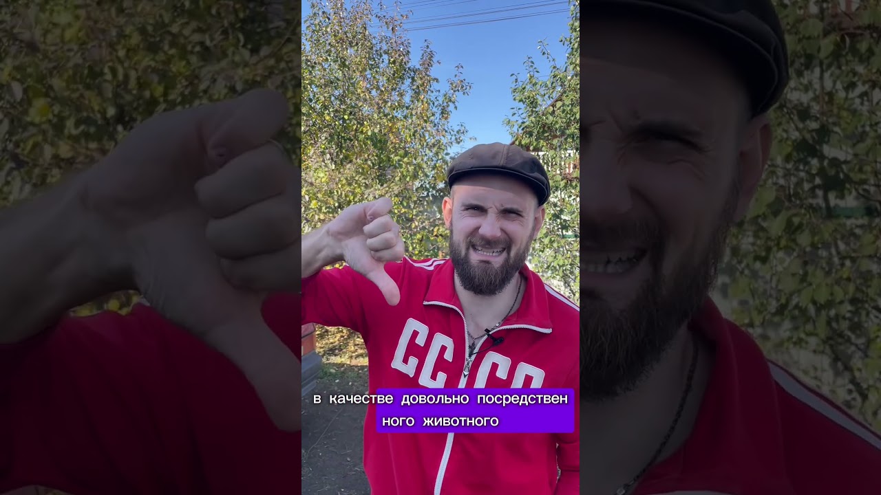 Почему коллективизм не противоречит свободе личности?