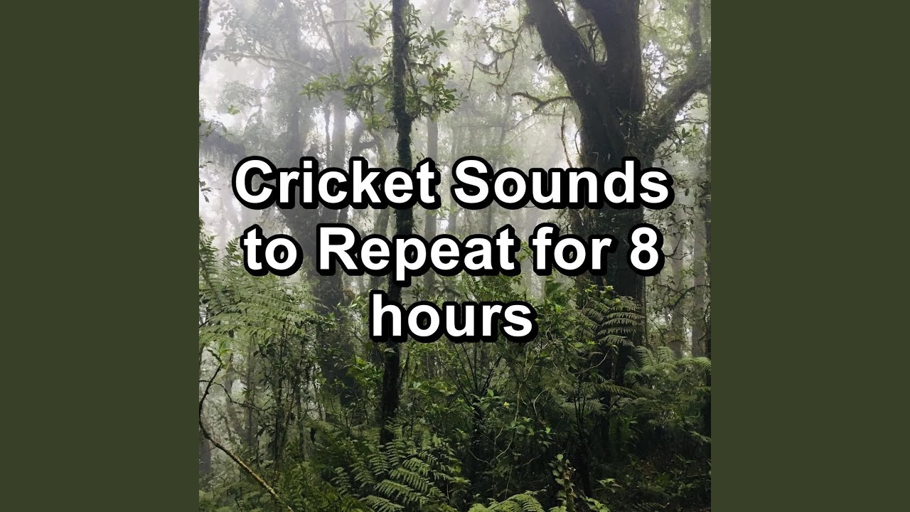 Cricket sounds for 5 hours very Calming YouTube Music
