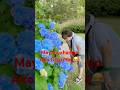 #may hinahanap ako#gagamba #shortvideo //AnelynAnac