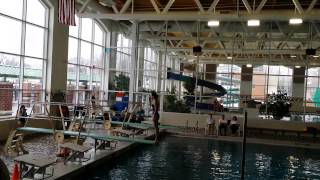 Back dive straight 201A