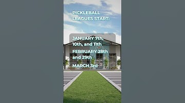 Adult Sports Leagues at Social Pickleball Fun - Lincoln Park, Chicago #pickleball #chicago