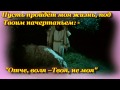 №1 Отче воля твоя  Ориг  2012  апр  С Гл