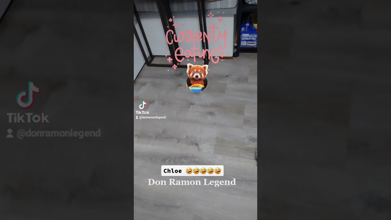 Don Ramon Legend & Chloe very Funny - YouTube